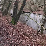 Apartmán Garden Apartment, *