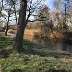 Garden Apartment, Amsterdam