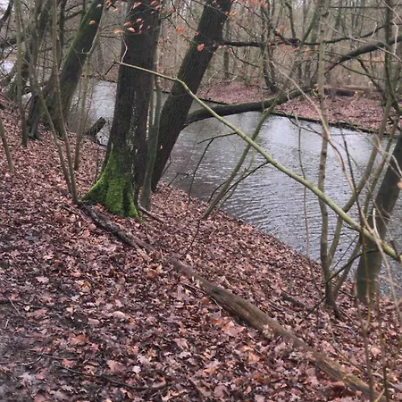 Apartment Garden Apartment, *