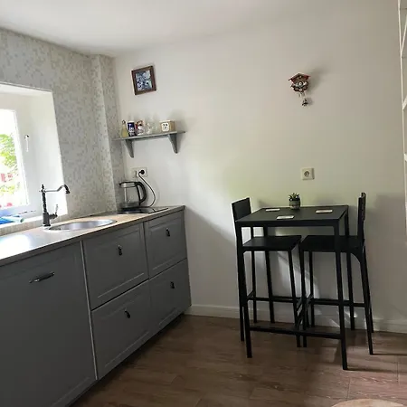 Garden Apartment, Amsterdam