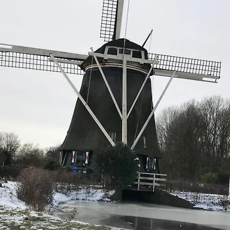 Apartment Garden Apartment, Amsterdam