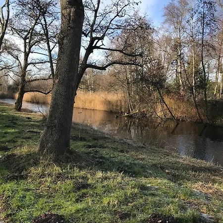 Garden Apartment, Amsterdam