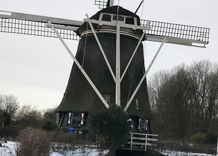 Appartement Garden Apartment, Amsterdam