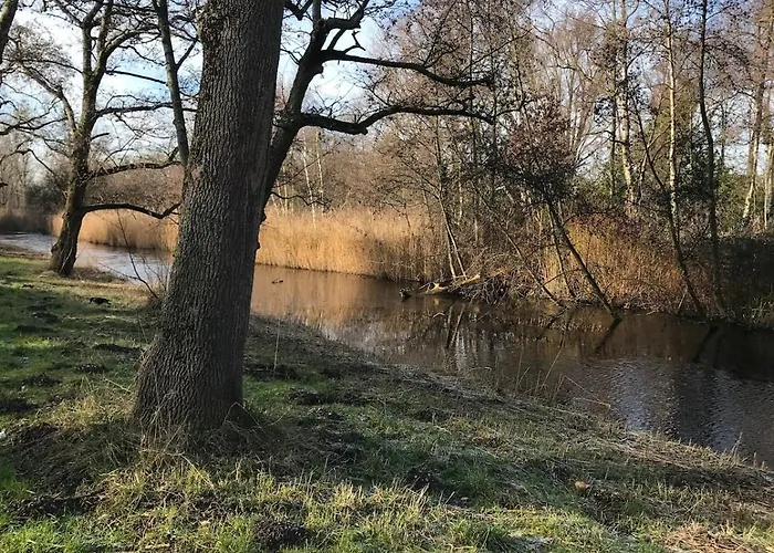 Garden Apartment, Amsterdam